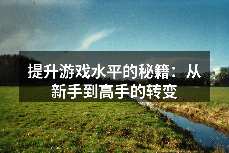提升游戏水平的秘籍：从新手到高手的转变